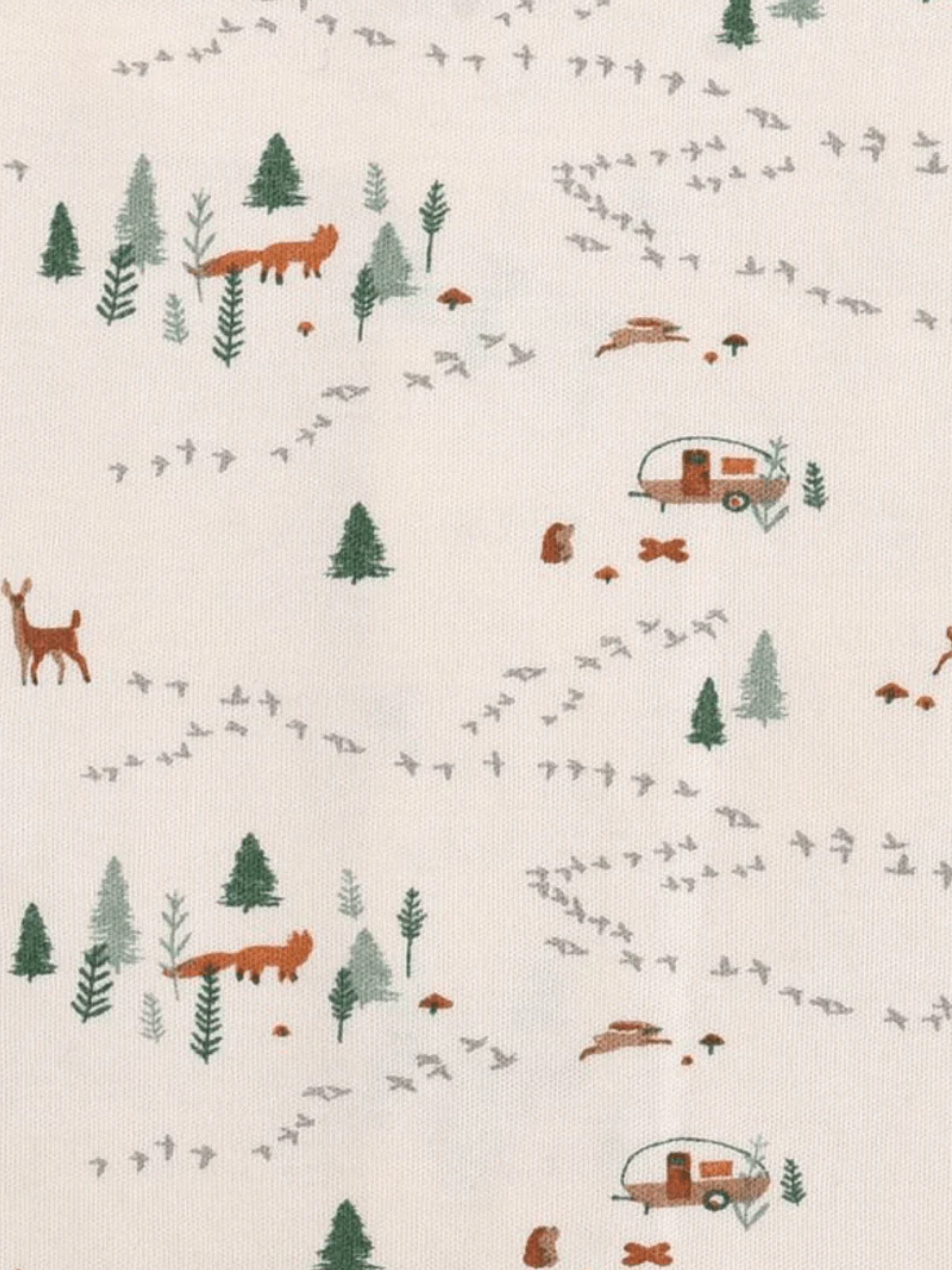 Finn + Emma Into The Woods Bundle