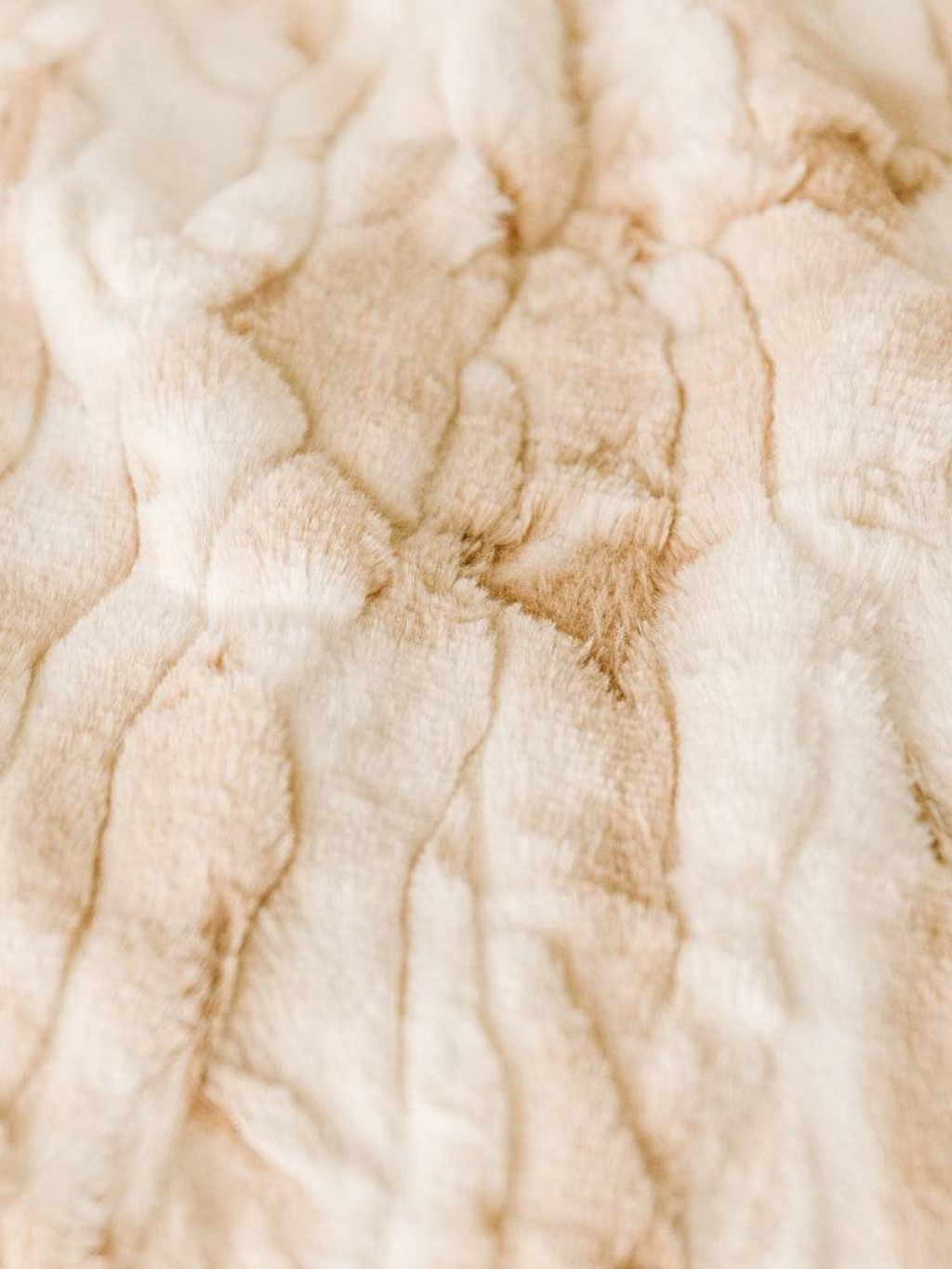 Minky Blanket Crème Brûlée 50”x60”