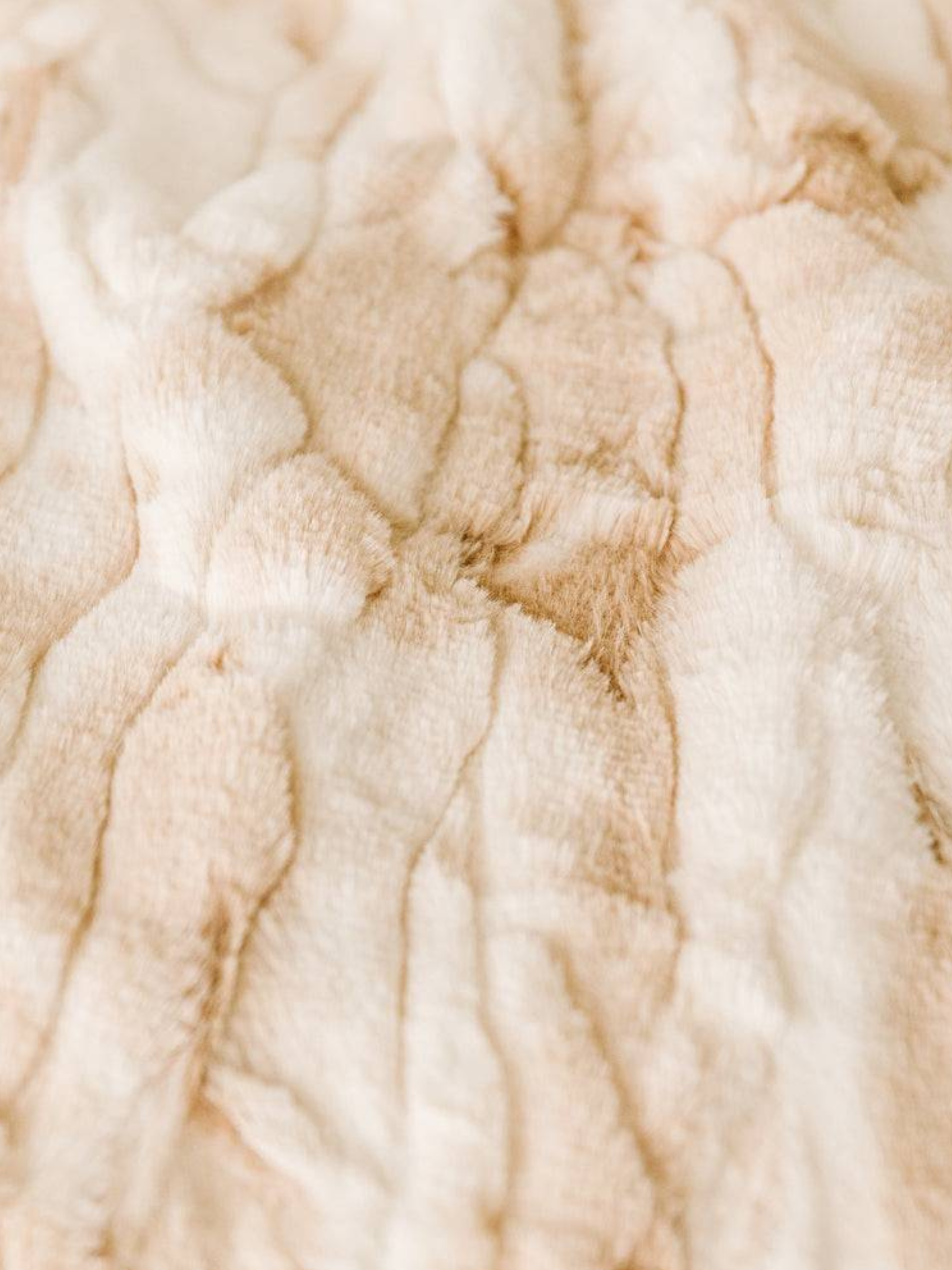 Minky Blanket Crème Brûlée 50”x60”
