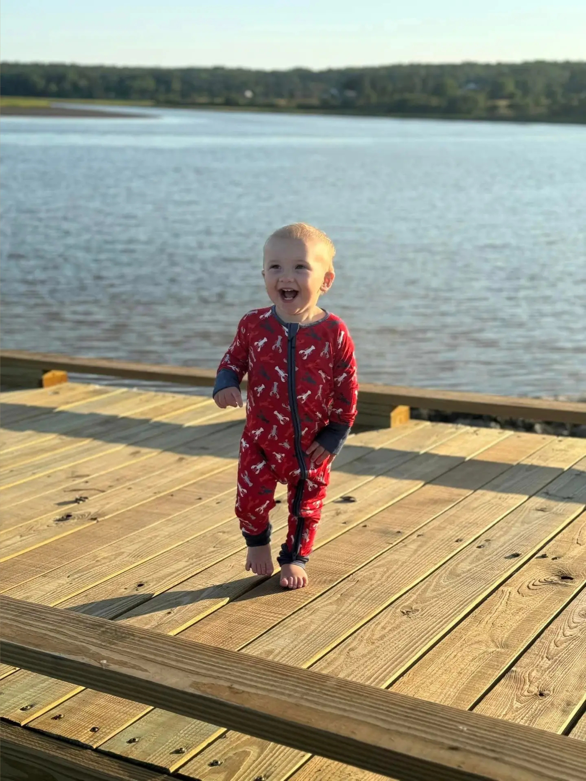 Bailey Baby Co. - Abel Maine Lobster Zippy Romper