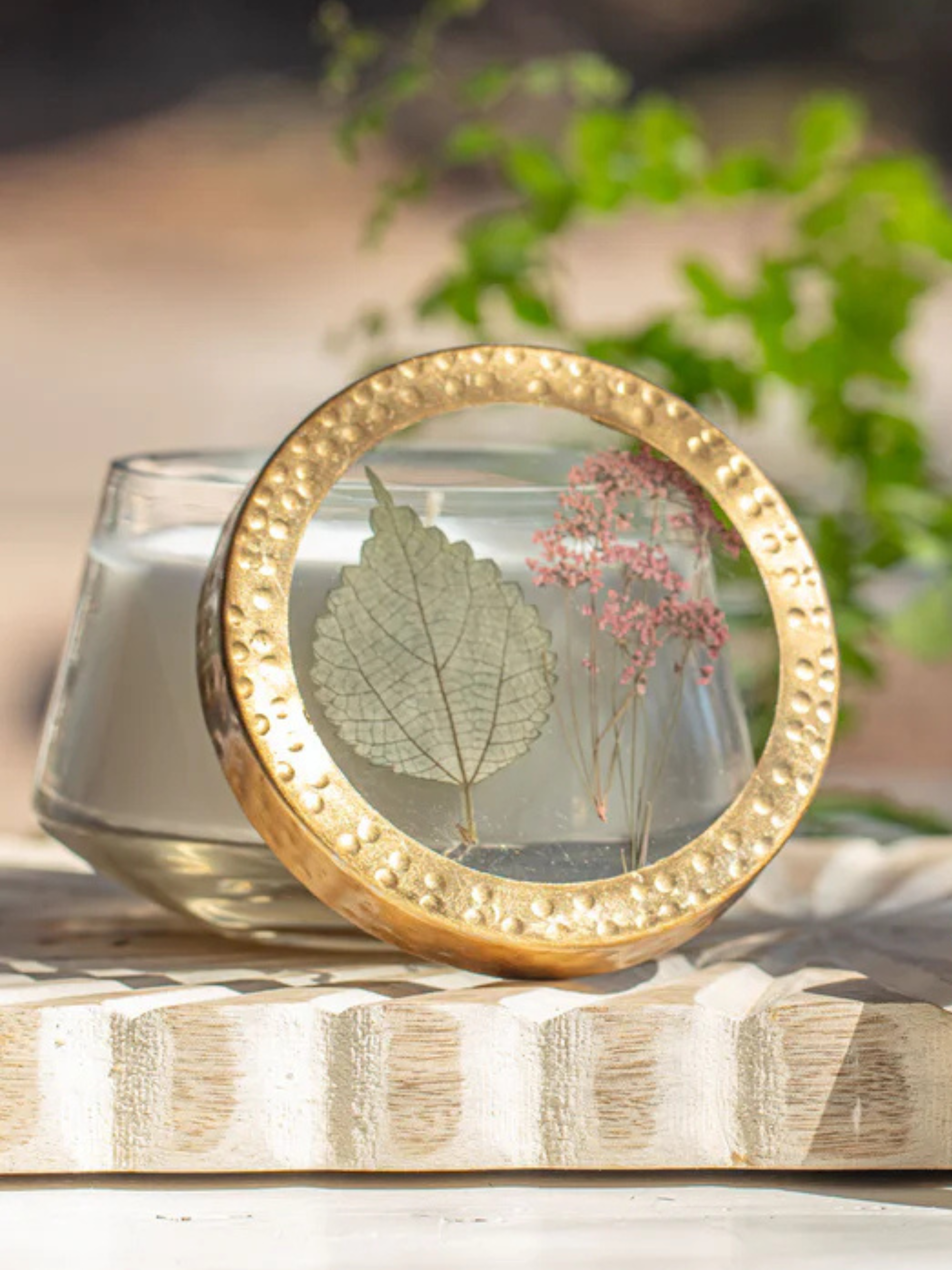 Rosy Rings Accent Pressed Floral Candle - Apricot Rose