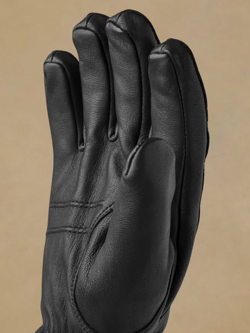 Hestra Tore - Black
