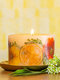 Rosy Rings Petite Botanical Candle - Sugared Citrus